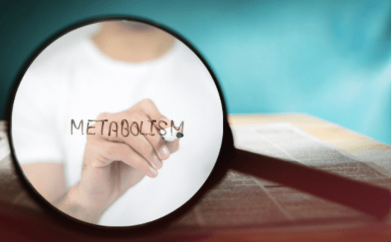 metabolism